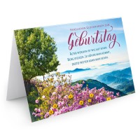 Älter werden ist wie auf einen Berg steigen