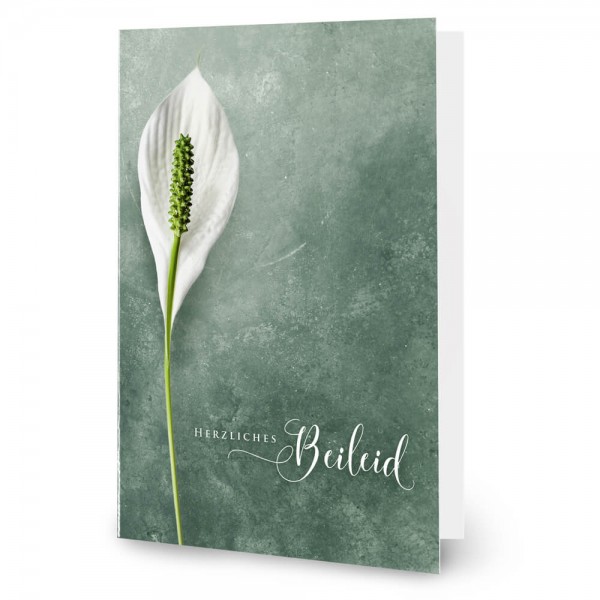 Edle, stilvolle Trauerkarte mit weißer Lilie