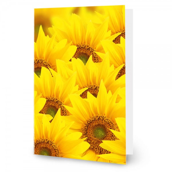 Blankokarte - Sonnenblumen