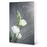 Stilvolle, neutrale Trauerkarte, weiße Blumen vor grauem Hintergrund